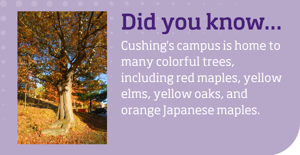 Did you know... (9)